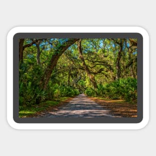 Cumberland Island National Seashore Sticker